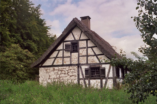 Auftritt im Freilichtmuseum Neuhausen ob Eck