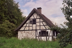 Auftritt im Freilichtmuseum Neuhausen ob Eck