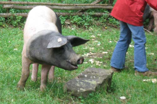 Auftritt im Freilichtmuseum Neuhausen ob Eck 2009