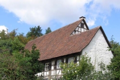 Auftritt im Freilichtmuseum Neuhausen ob Eck 2009