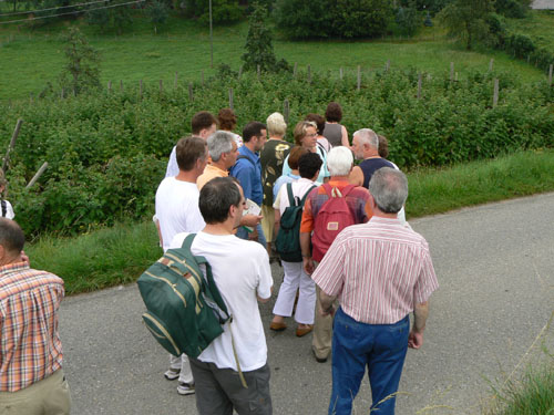 Jahresausflug nach Tettnang 2007
