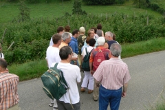 Jahresausflug nach Tettnang 2007