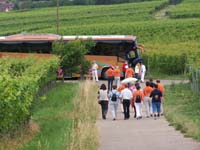 Jahresausflug ins Markgräflerland 2009