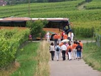 Jahresausflug ins Markgräflerland 2009